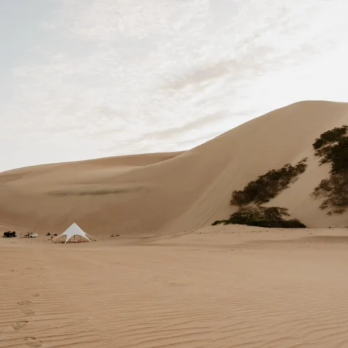 Aventura en el desierto Alta Ruta 4x4